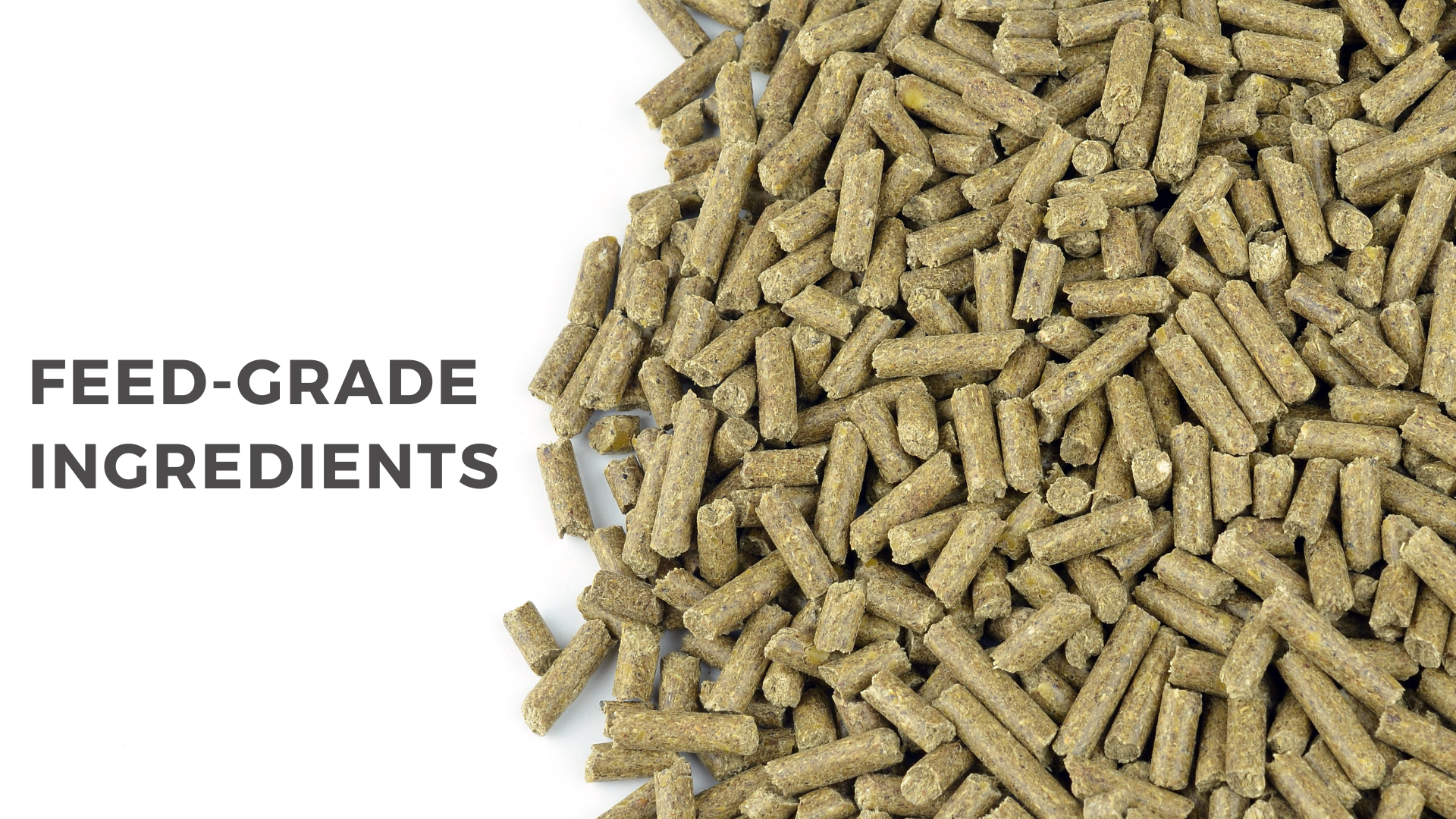 Feed-grade Ingredients