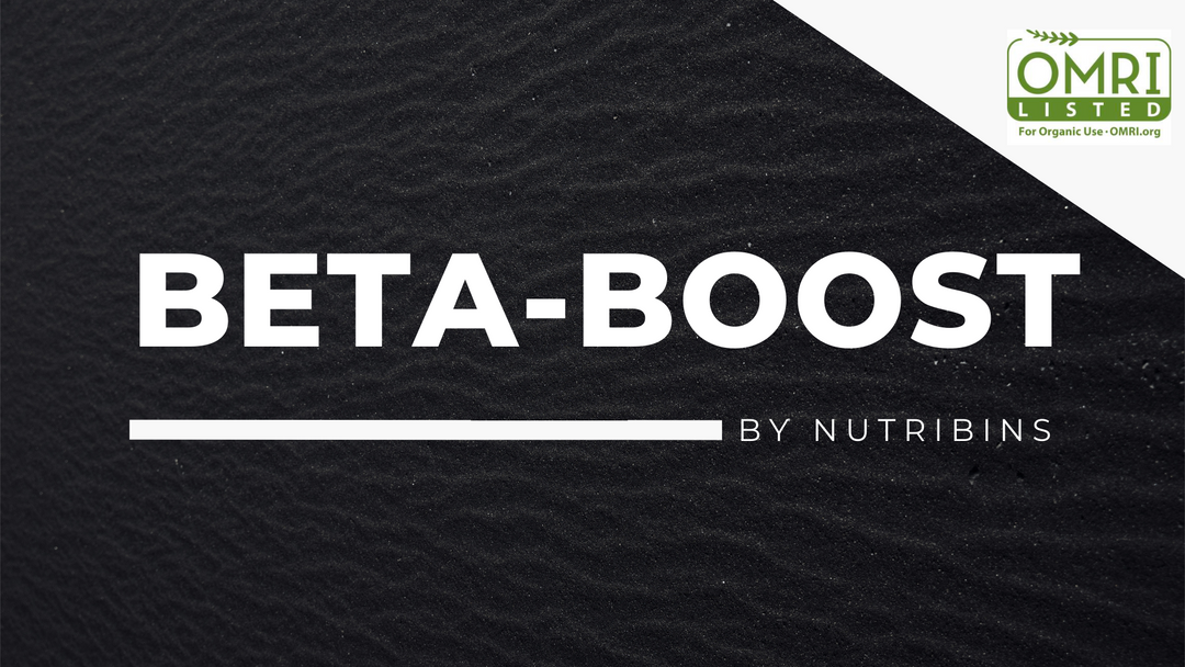 Beta-Boost