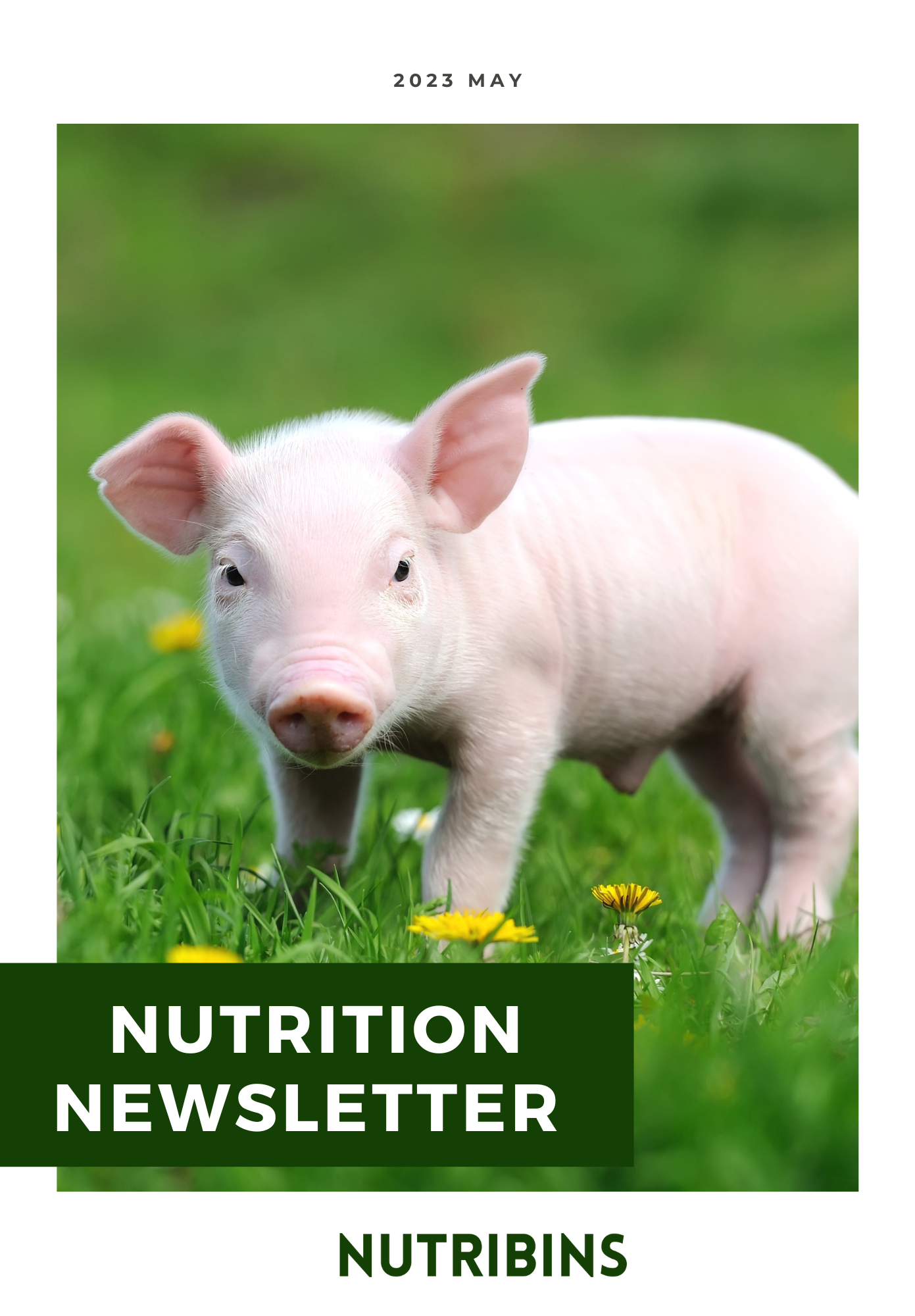 Nutrition Newsletter, May 2023
