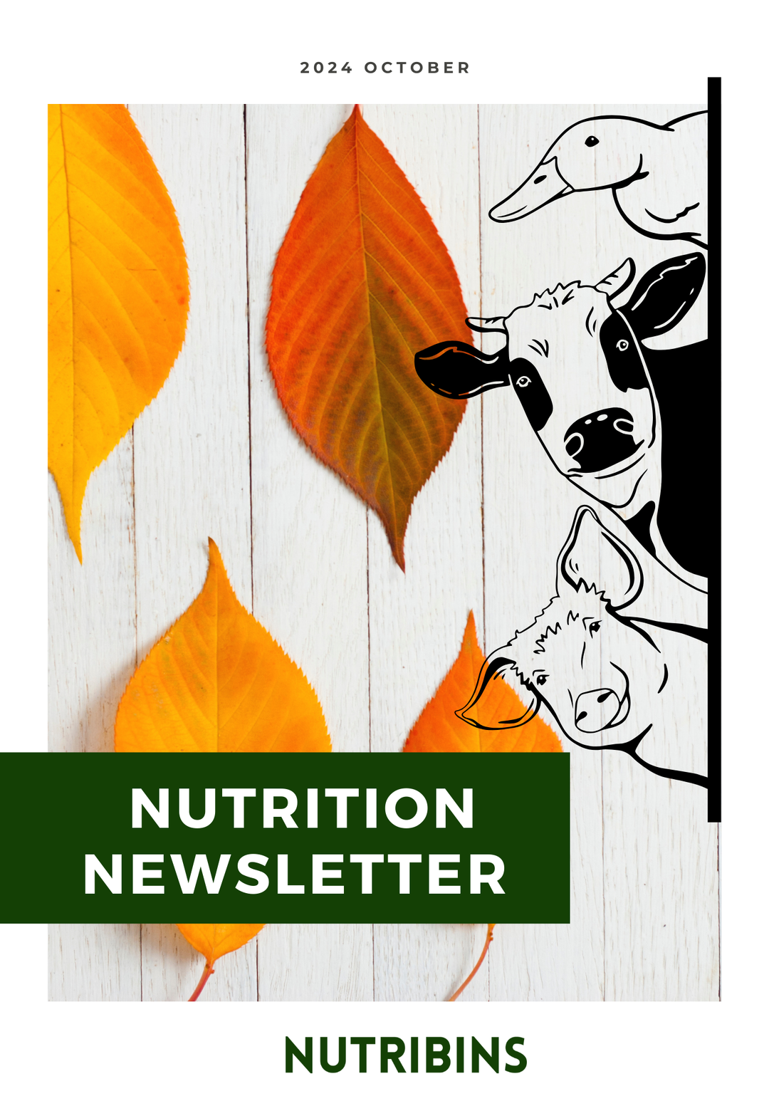 Nutrition Newsletter October 2024