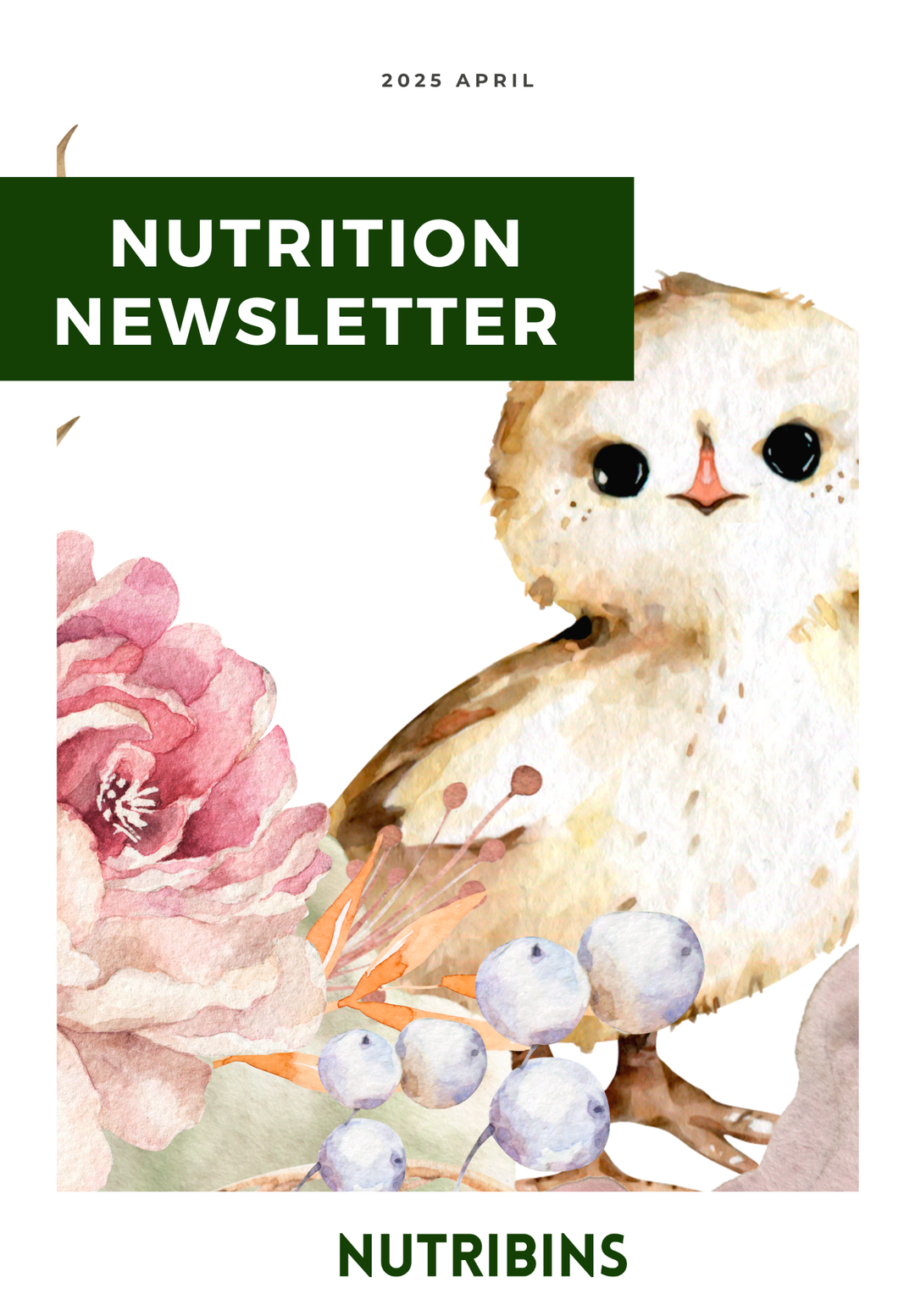 Nutribins Nutrition Newsletter 2025.04