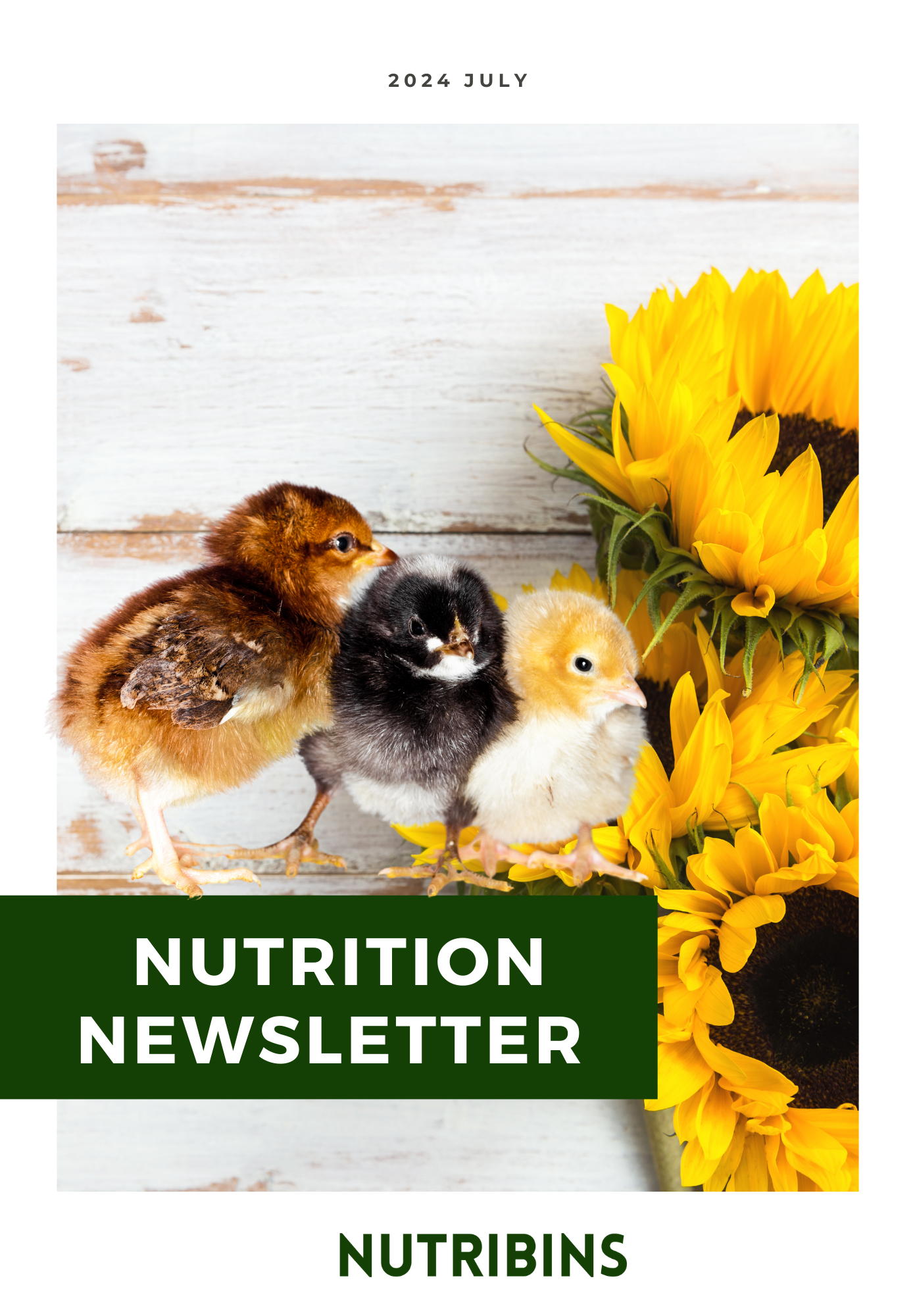 Nutrition Newsletter July 2024
