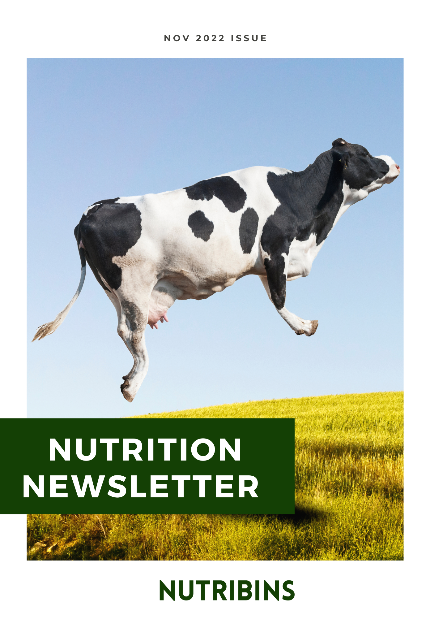 Nutrition Newsletter, Nov 2022