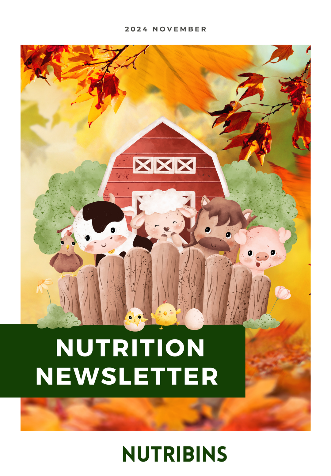 Nutrition Newsletter November 2024
