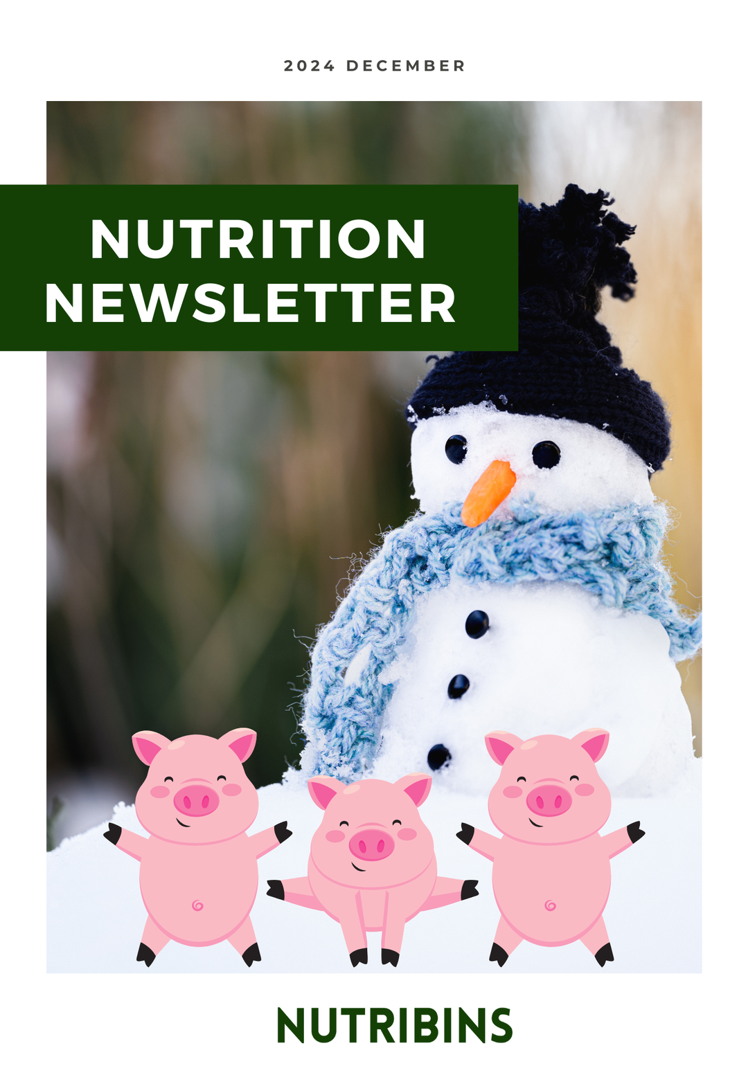 Nutrition Newsletter December 2024