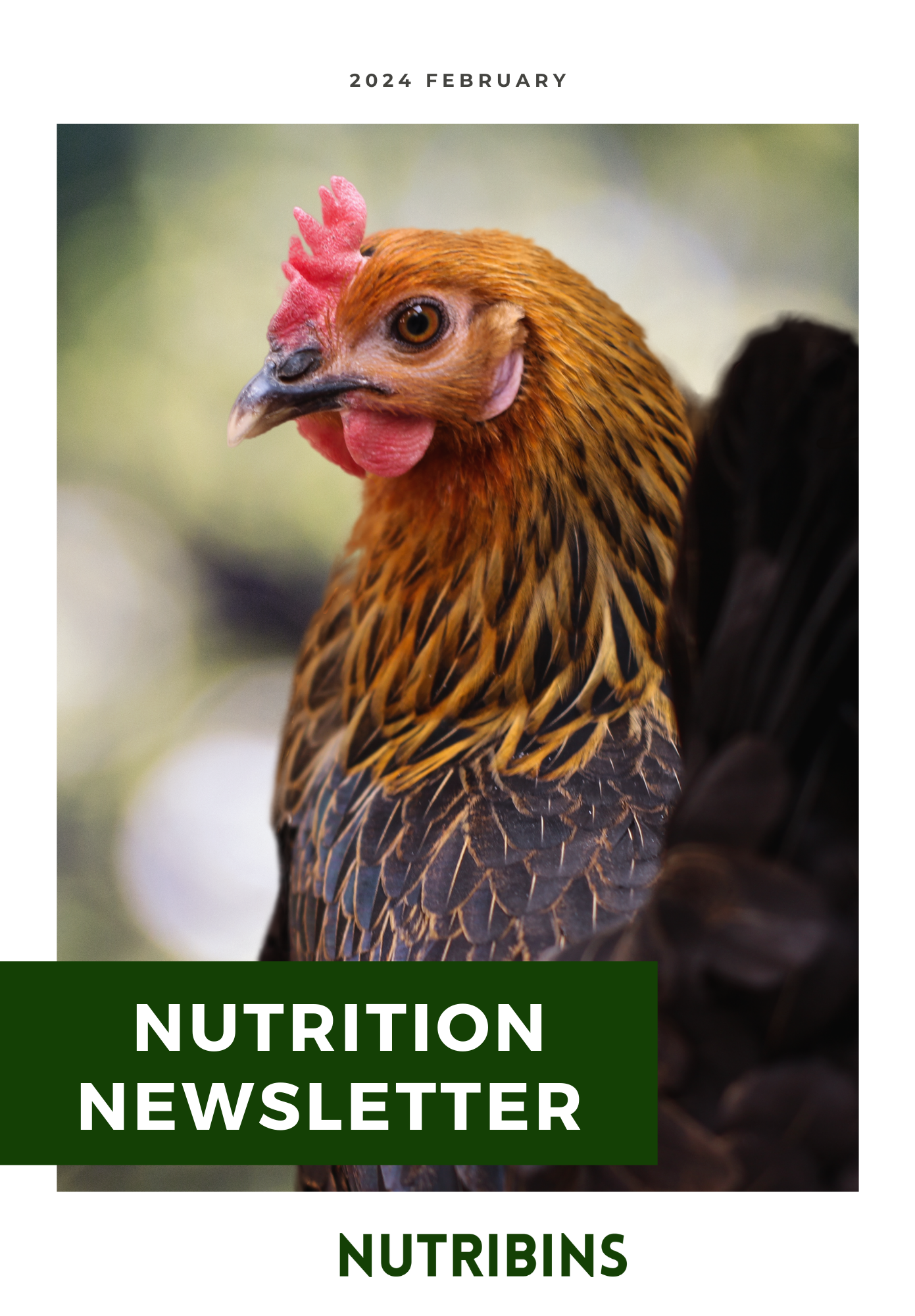 Nutrition Newsletter 2024 Feb