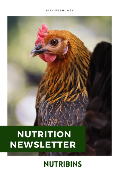 Nutrition Newsletter 2024 Feb