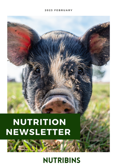 Nutrition Newsletter, Feb 2023