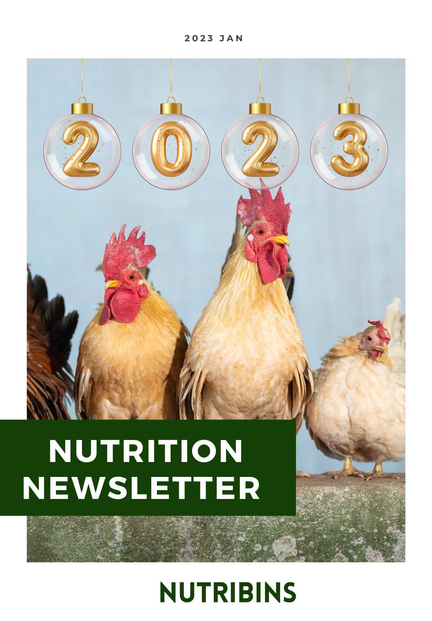 Nutrition Newsletter, Jan 2023
