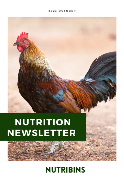 Nutrition Newsletter, Oct 2023