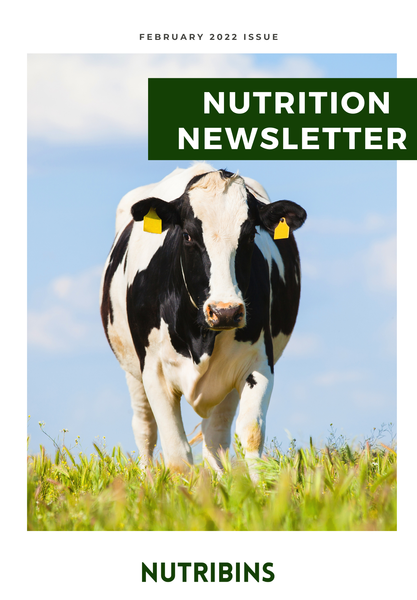 Nutrition Newsletter, February 2022