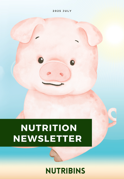 Nutribins Nutrition Newsletter 2025.07
