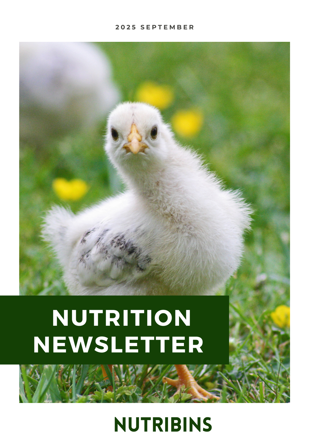 Nutribins Nutrition Newsletter 2025.09