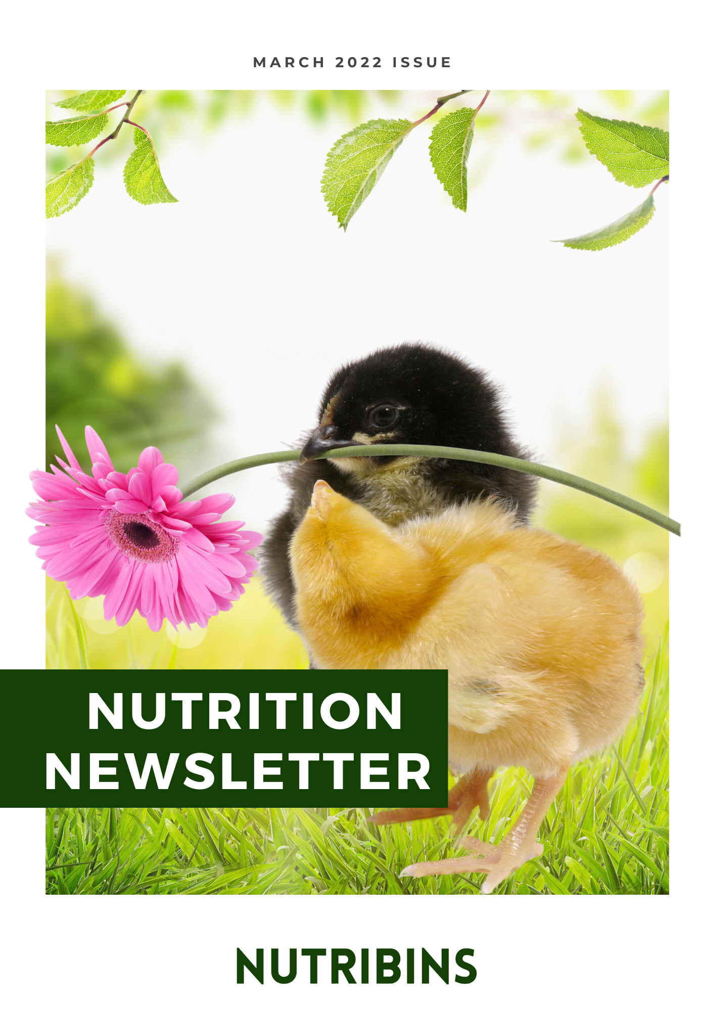 Nutrition Newsletter, March 2022