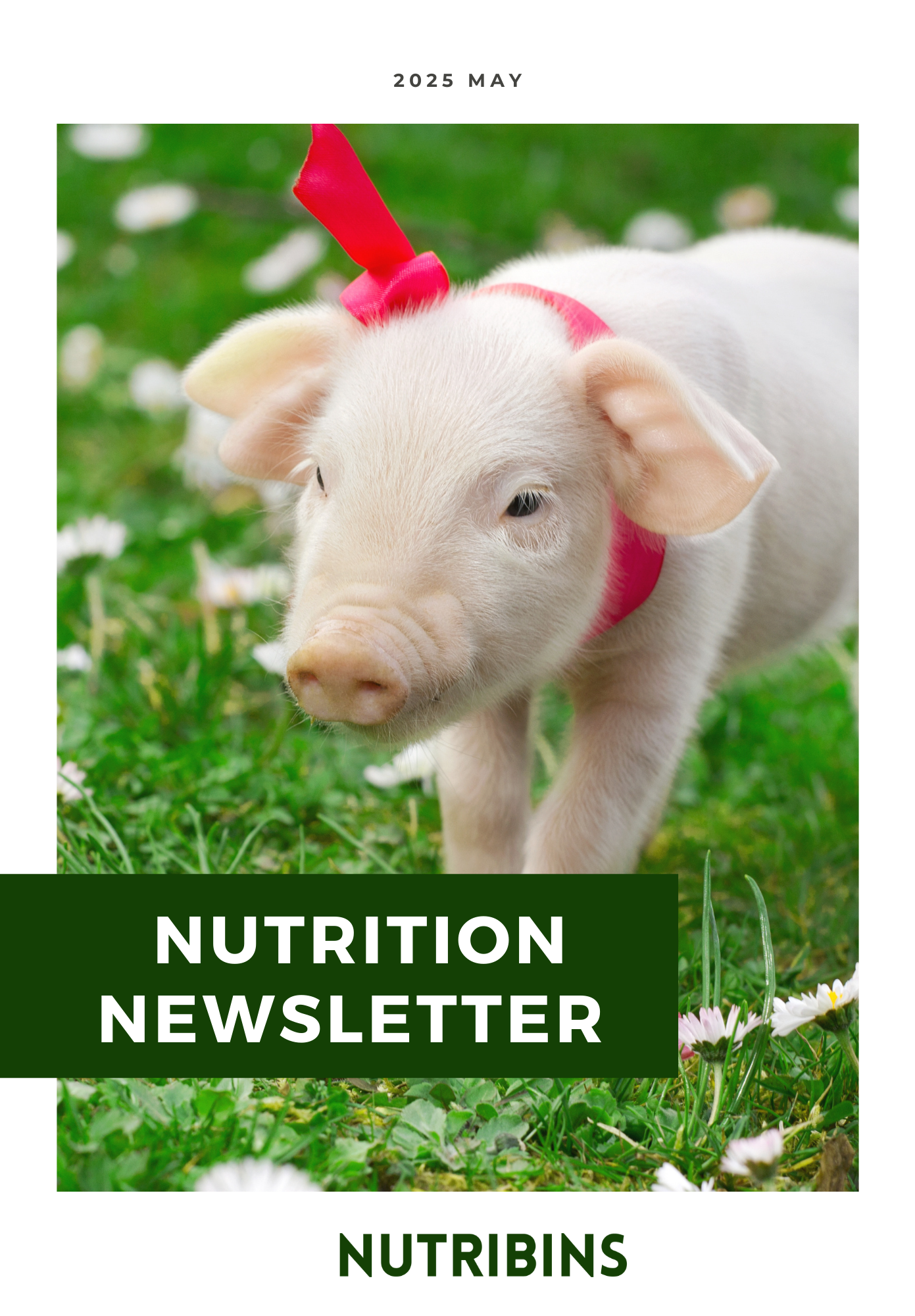 Nutribins Nutrition Newsletter 2025.05