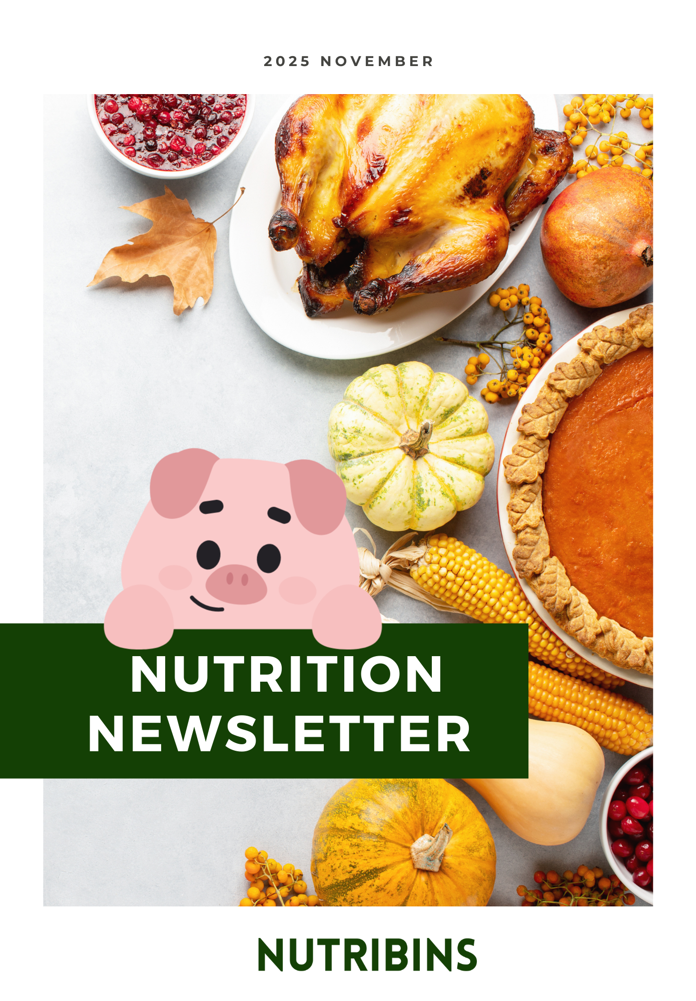Nutribins Nutrition Newsletter 2025.11