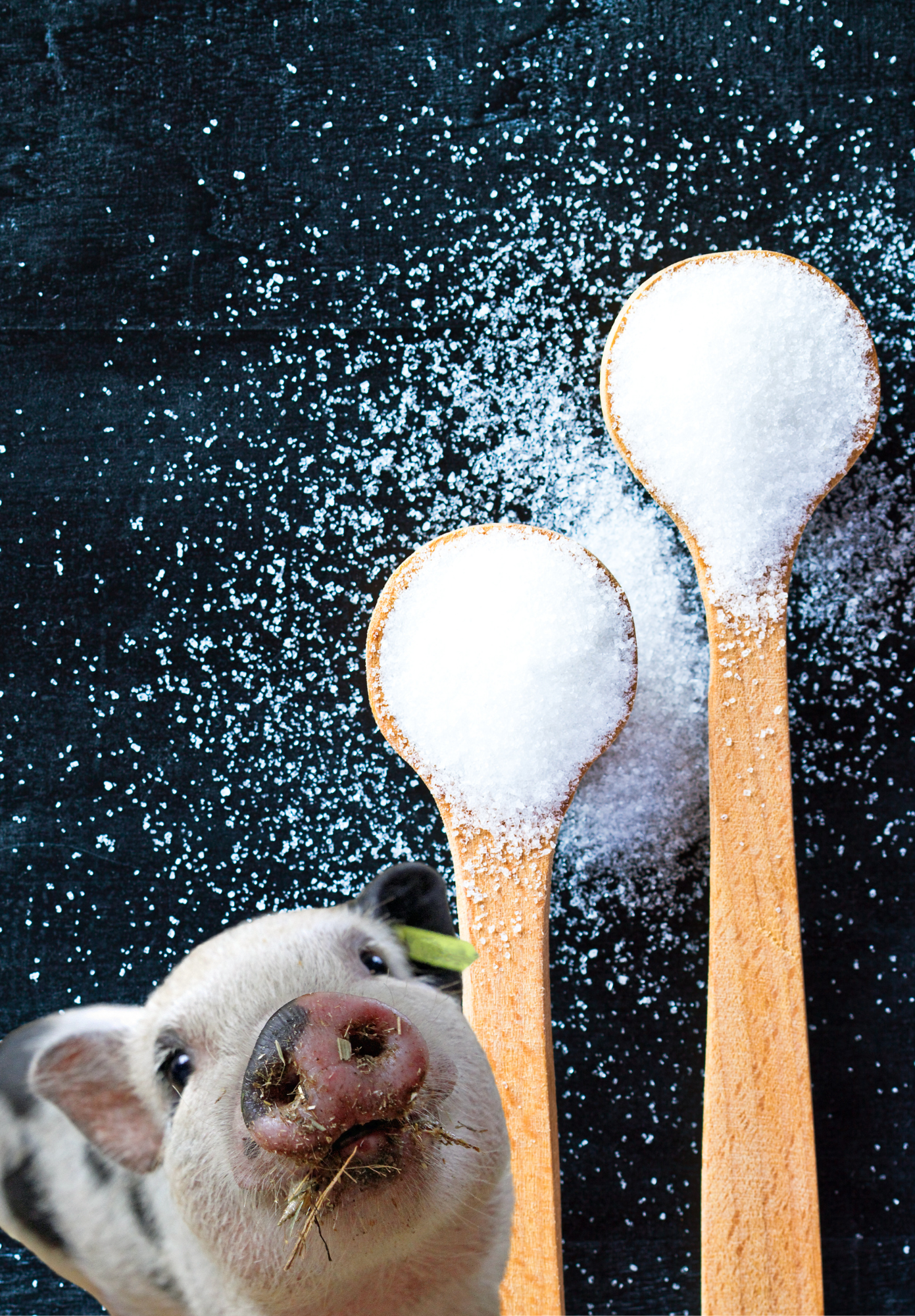 A REVIEW | BEYOND SWEETNESS: HIGH-INTENSITY SWEETENERS ON FARM ANIMALS