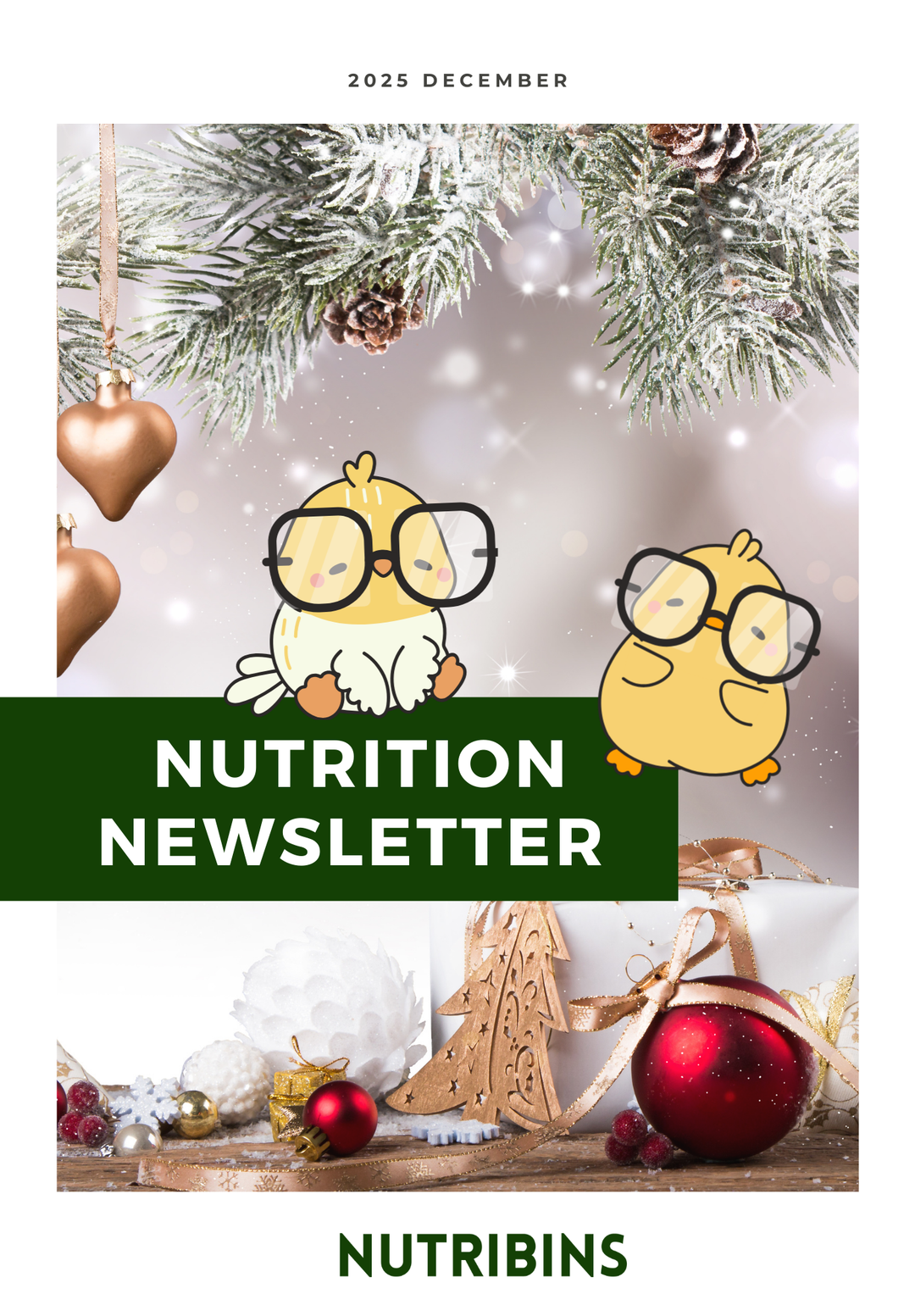 Nutribins Nutrition Newsletter 2025.12