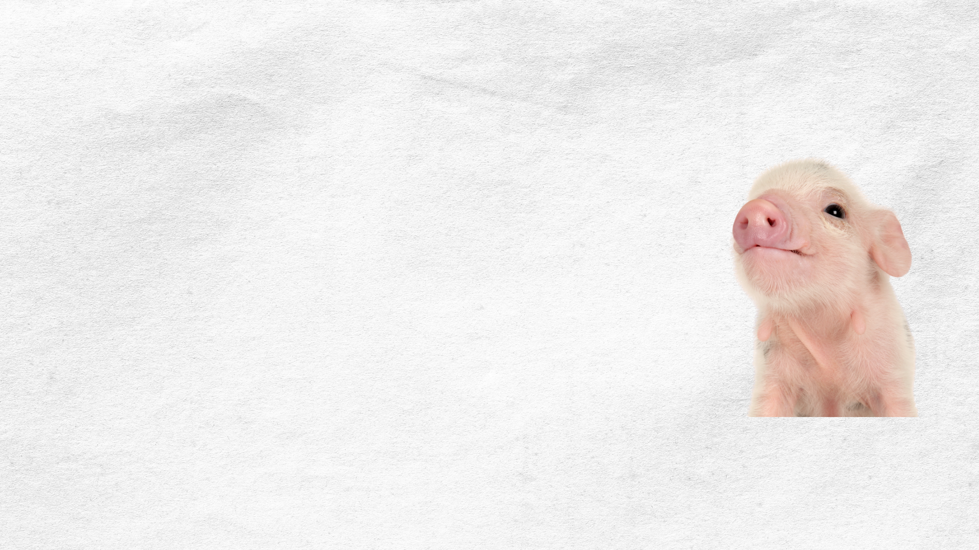 DDC Palatability Technology