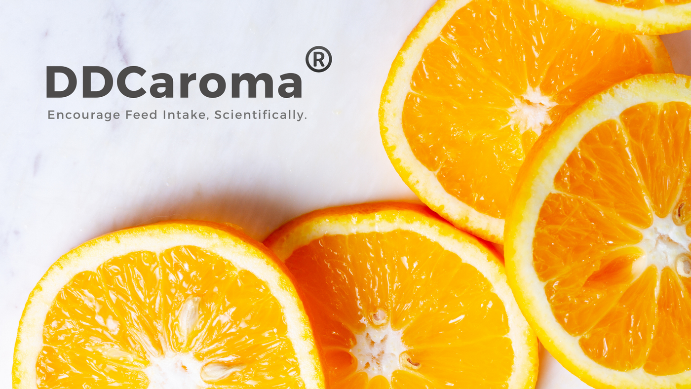 DDCaroma - Citrus Flavor